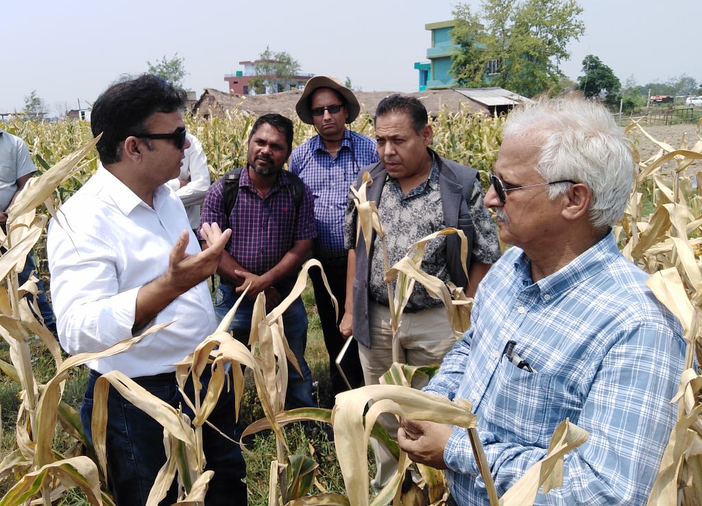 A Major Step Toward Seed Self Sufficiency Cimmyt