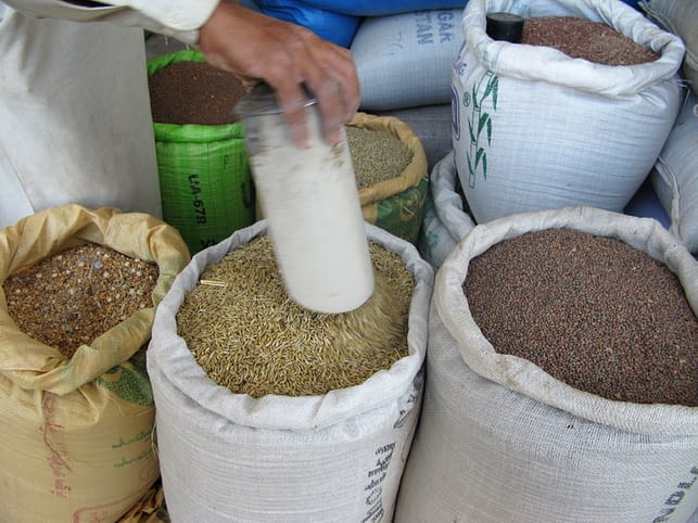 Agricultural seed on sale by a vendor near Islamabad, Pakistan. For improved crop varieties to reach farmers, they usually must first reach local vendors like these, who form an essential link in the chain between researchers, seed producers and farmers. (Photo: M. DeFreese/CIMMYT)