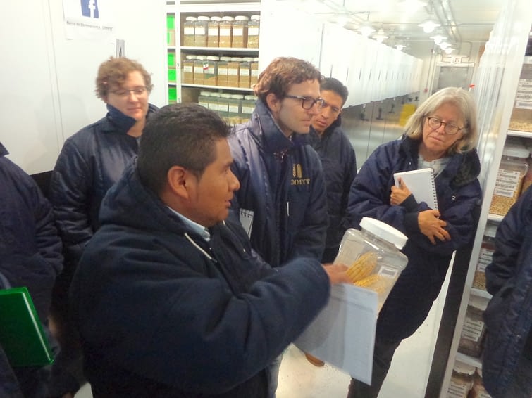 Costich and members of the Maize Collection team hosting Pedro Bello from UC Davis (center, glasses) at the CIMMYT Germplasm Bank in Texcoco, Mexico, for a workshop on seed longevity and conservation techniques.