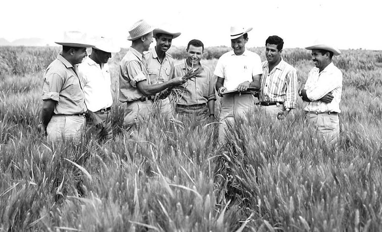 Norman Borlaug teaches a group of young trainees in the field in Sonora, Mexico. (Photo: CIMMYT)