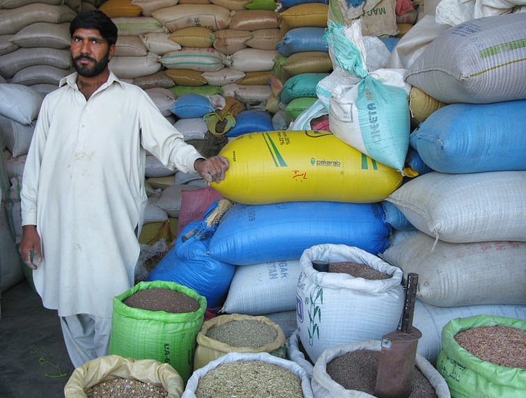 A seed vendor near Islamabad, Pakistan. For improved crop varieties to reach the farmers who need them, they usually must first reach local vendors, who form an essential link in the chain between researchers, seed producers and farmers. (Photo: M. DeFreese/CIMMYT)