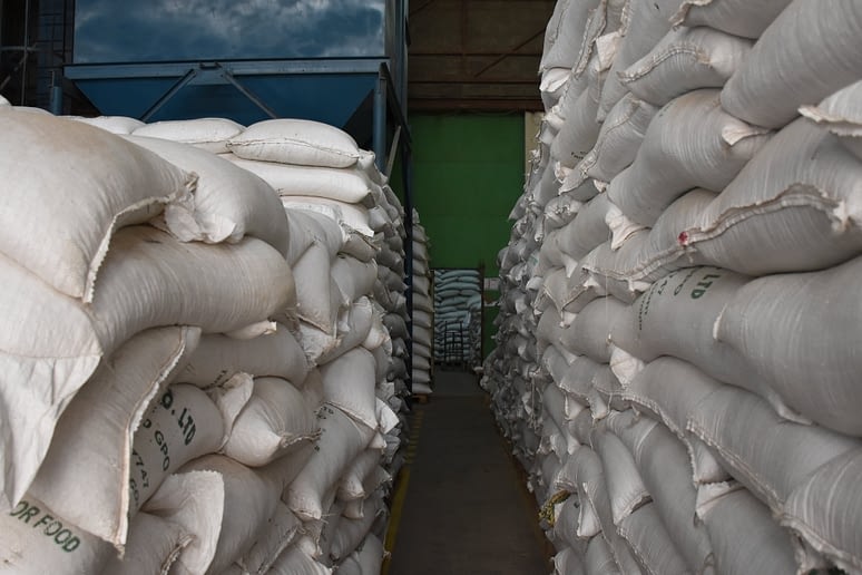 General view of the East African Seed warehouse. (Photo: Jerome Bossuet/CIMMYT)